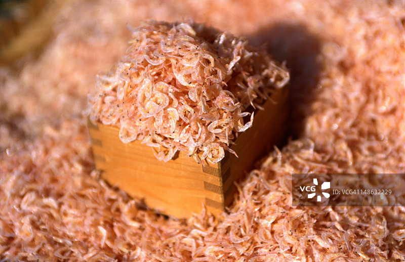 东京柴又地区的姬虾图片素材