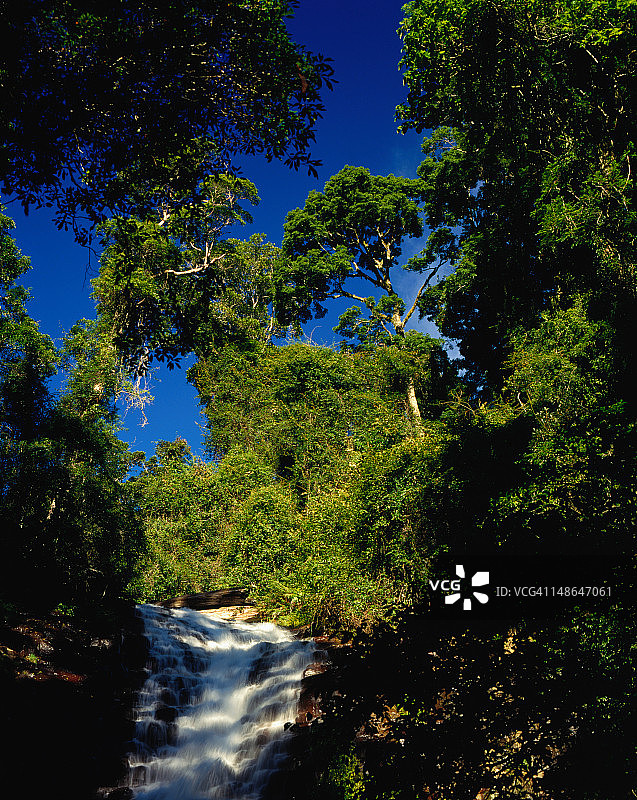 特里斯坦纳瀑布和热带雨林图片素材
