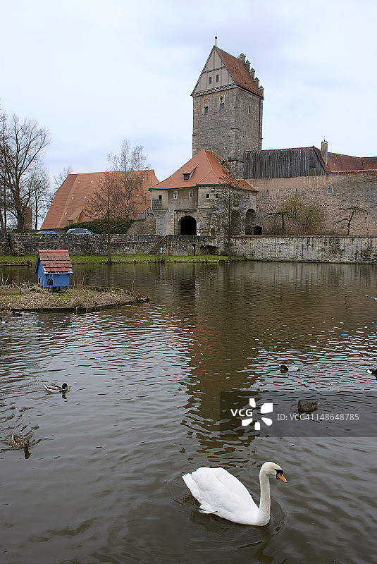 罗滕堡池塘上的天鹅和鸭子，背景是罗滕堡塔门图片素材