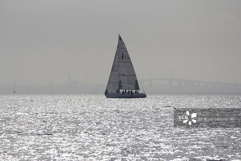 西门大桥背景下的菲利普港湾帆船图片素材