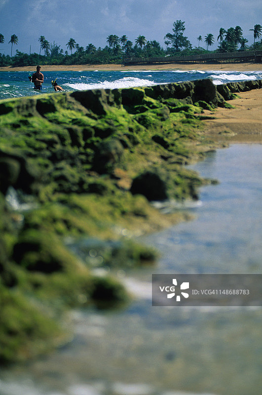 在卢基约海滩附近浮潜图片素材