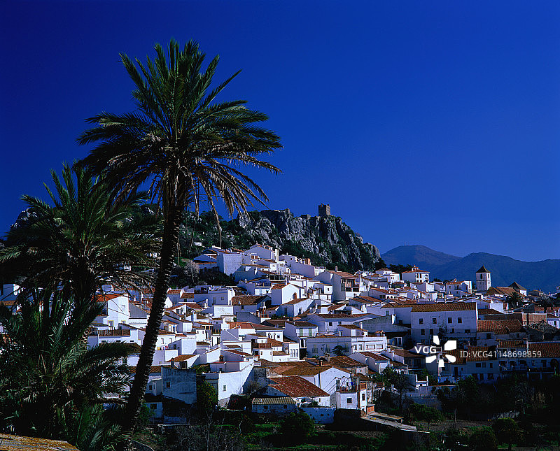 马拉加省以棕榈树闻名的村庄的俯视图图片素材