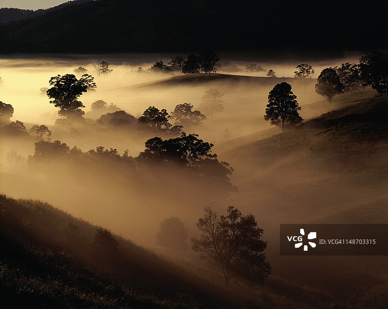 特威德河谷的清晨薄雾图片素材