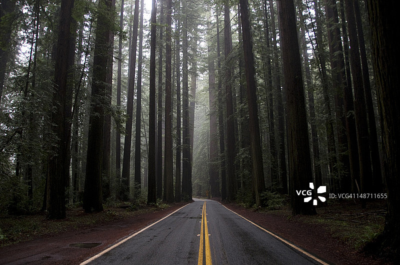 巨人大道图片素材