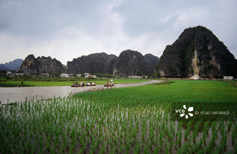 三组越南游客乘船游览吴同河沿岸的喀斯特尖峰和稻田图片素材