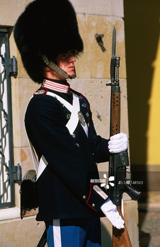 克里斯蒂安堡宫的卫兵图片素材