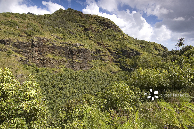 威陆亚河州立公园的帕利图片素材