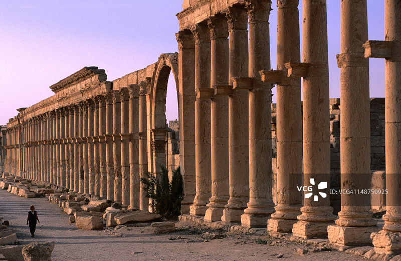 古巴尔米拉的柱廊街道（公元1-2世纪）图片素材