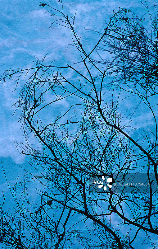 怀卡托河胡卡瀑布下，以水为背景的树枝轮廓图片素材