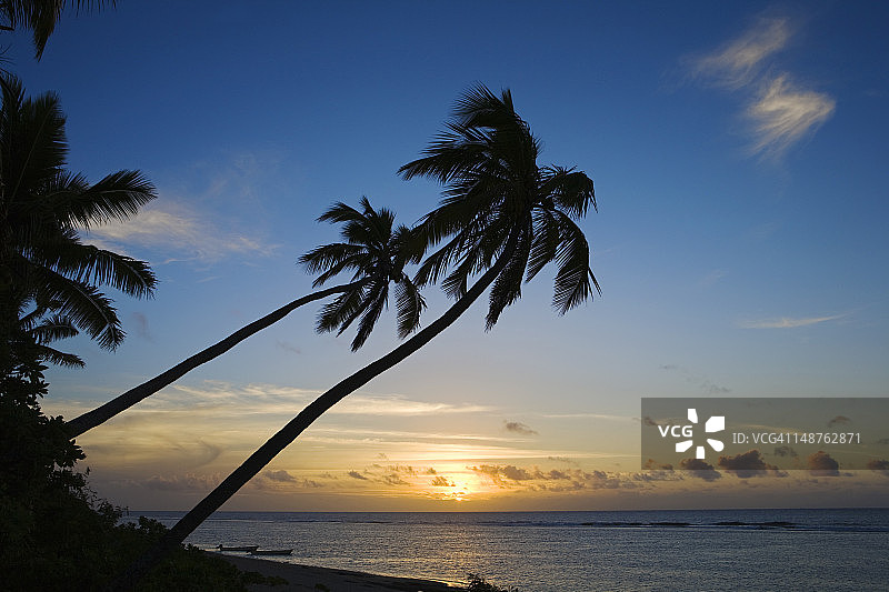 哈塔富海滩日落时分的椰子树剪影图片素材