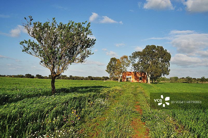 萨伦托景观图片素材