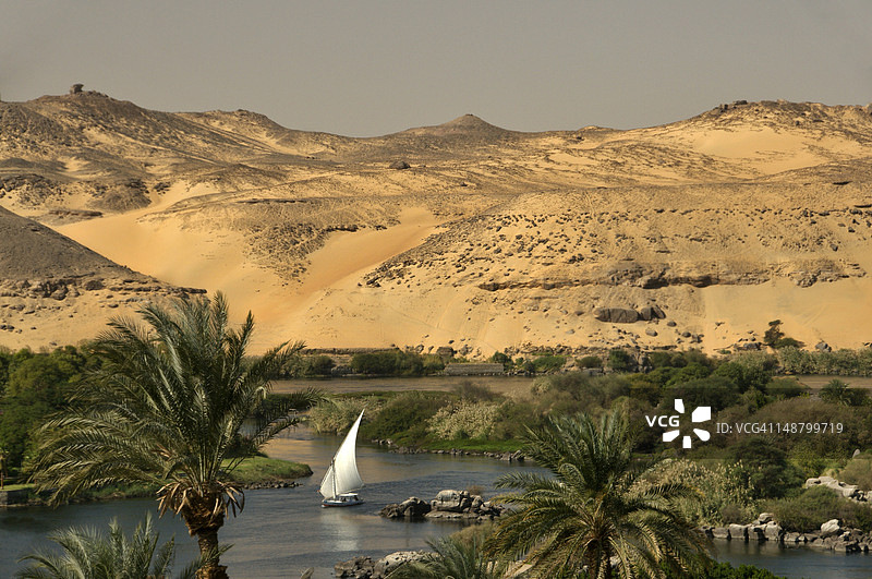 阿斯旺风景：尼罗河上的三角帆船图片素材