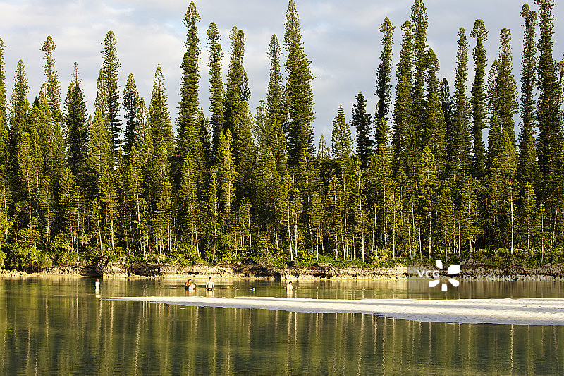 奥罗天然游泳池和南洋杉，奥罗湾图片素材