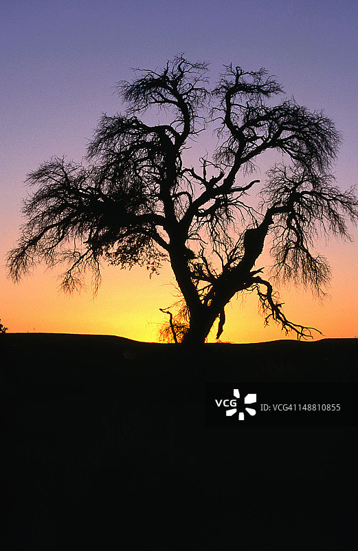 纳米布日出图片素材