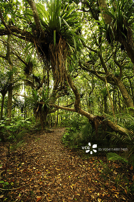 怀塔科里山脉锡安步道图片素材