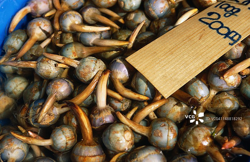 日本京都锦市场出售的荸荠图片素材