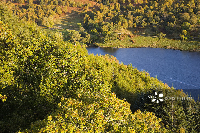 Pitlochry附近Tummel河岸的秋季林地图片素材