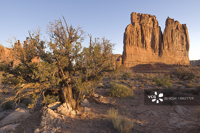 管风琴图片素材