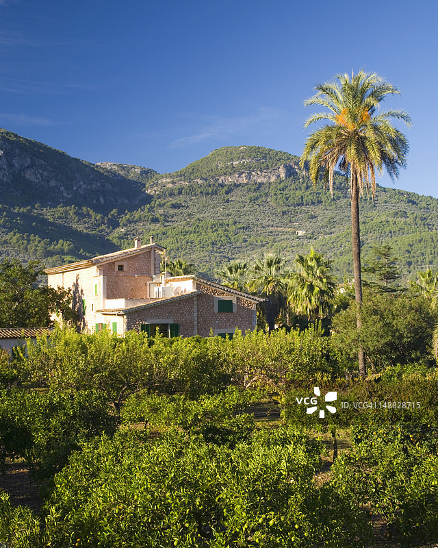 索列尔山谷棕榈树间的石头农舍图片素材