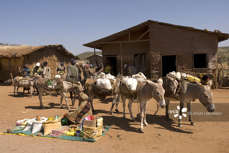 奥莫山谷博拉纳部落集市上的驮骡图片素材