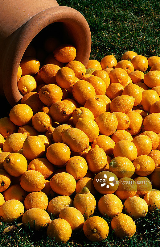 柠檬节上从罐子里溢出的柠檬图片素材