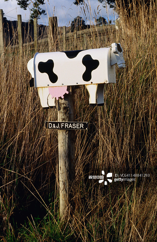 奶牛邮箱，科怀海岸图片素材
