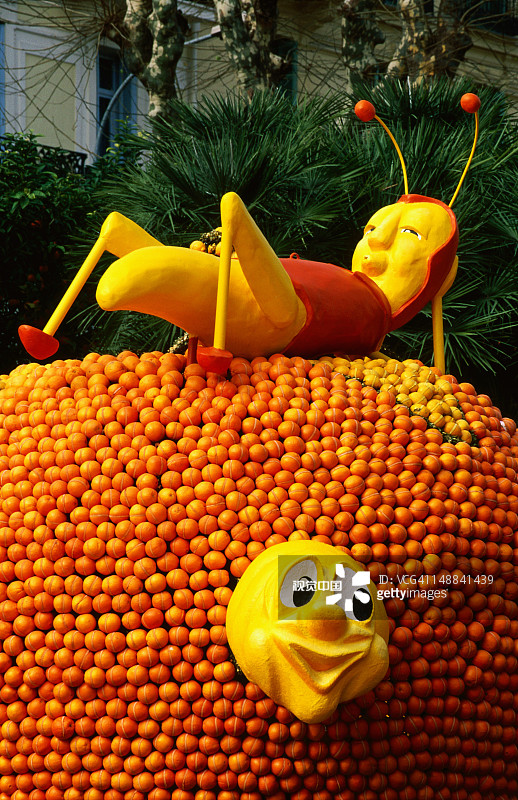 芒通柠檬节上比奥韦斯花园里的水果展示图片素材