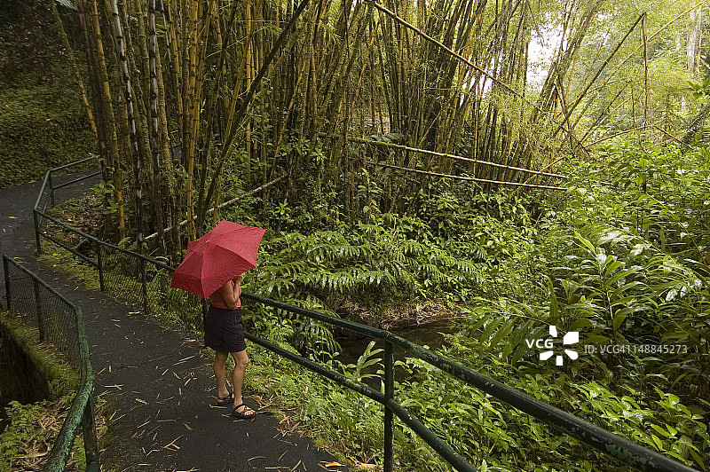打着红色雨伞的女人看着竹林图片素材