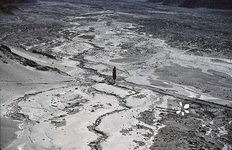 提克赛寺下的平原上的孤树图片素材