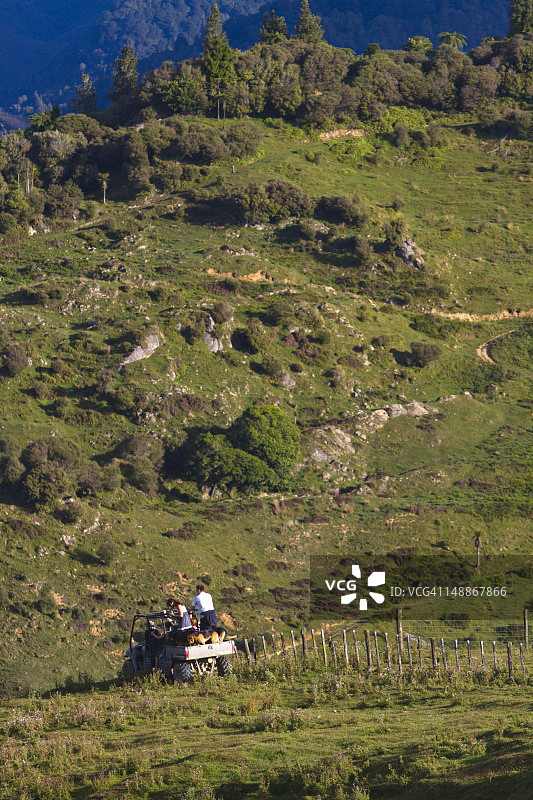 位于旺格努伊国家公园瓦卡霍罗的蓝鸭农场，游客乘坐越野车探索农场图片素材