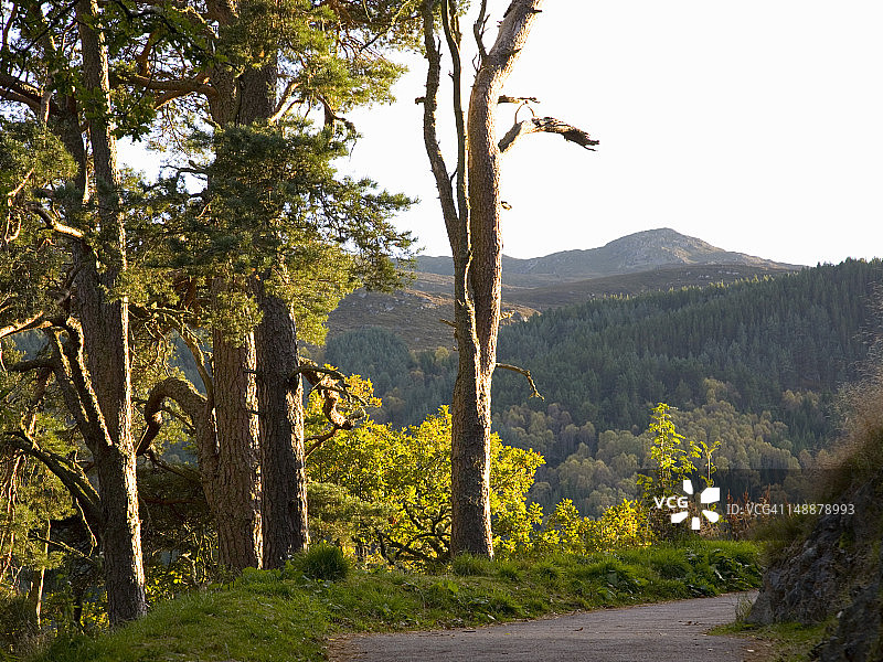 通往图梅尔湖皇后观景台的小路，靠近皮特洛赫里，秋夜图片素材