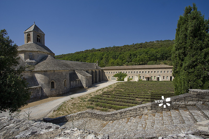 塞南克圣母院：沃克吕兹戈尔德附近的西多会修道院，周围环绕着薰衣草田。图片素材
