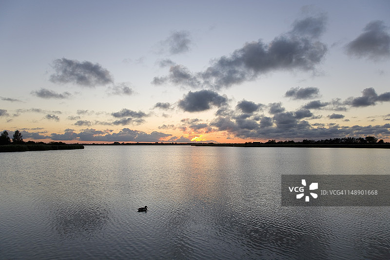 诺福克郡布罗兹，霍西米尔湖日落时分的鸭子图片素材