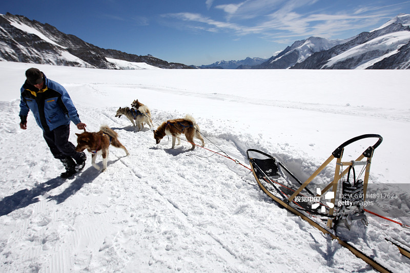 滑雪和滑雪板公园里与训练员在一起的雪橇犬图片素材