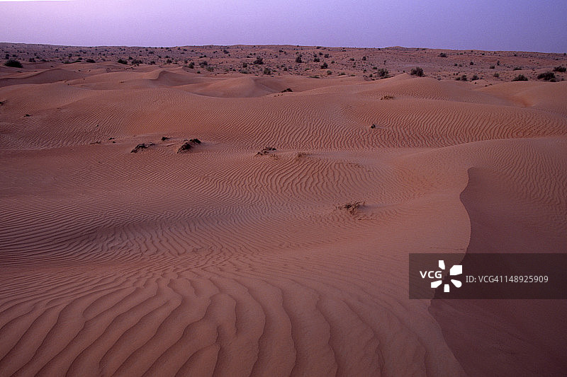 黄昏时分的迪拜沙漠沙丘，Al Maha沙漠度假村图片素材