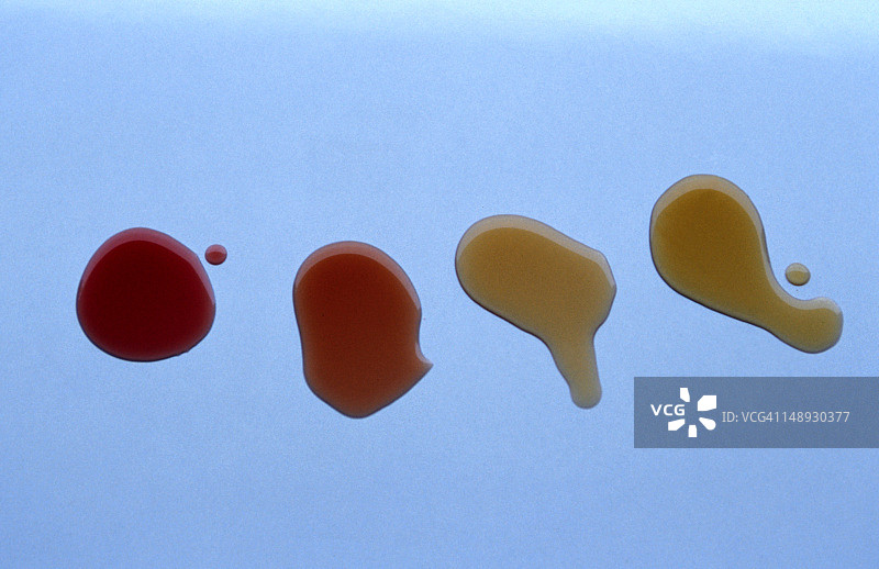 不同年份波特酒的颜色差异：5年、10年、20年和40年图片素材