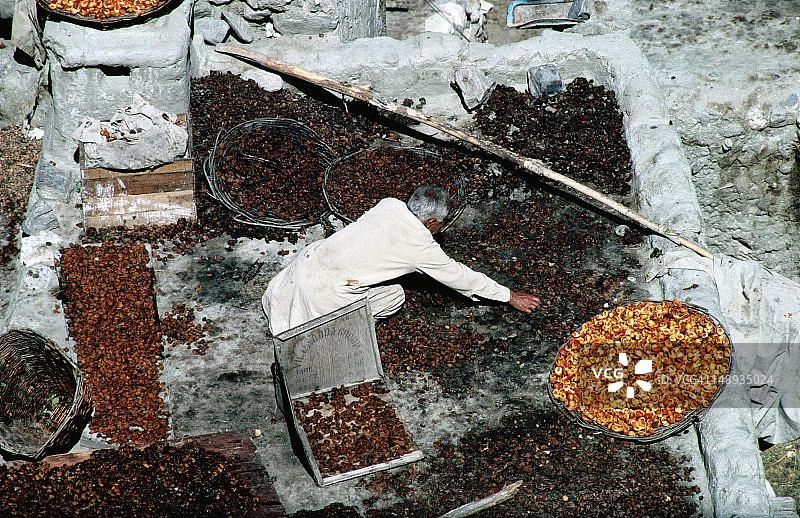 屋顶上晾晒的干果和坚果 - 洪扎山谷的阿尔蒂特图片素材