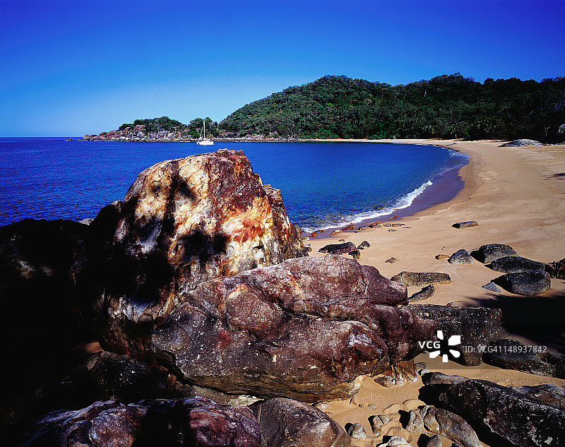 理查兹角兰花海滩图片素材