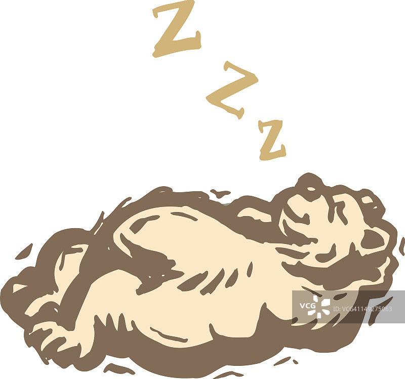 正在午睡的熊图片素材