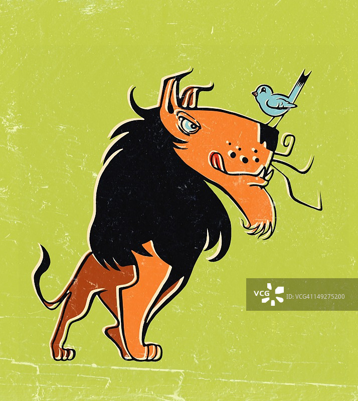 鼻子上停着一只鸟的狮子图片素材