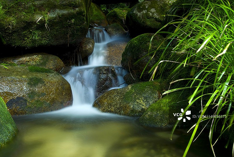 雨林中巨石上的流水图片素材
