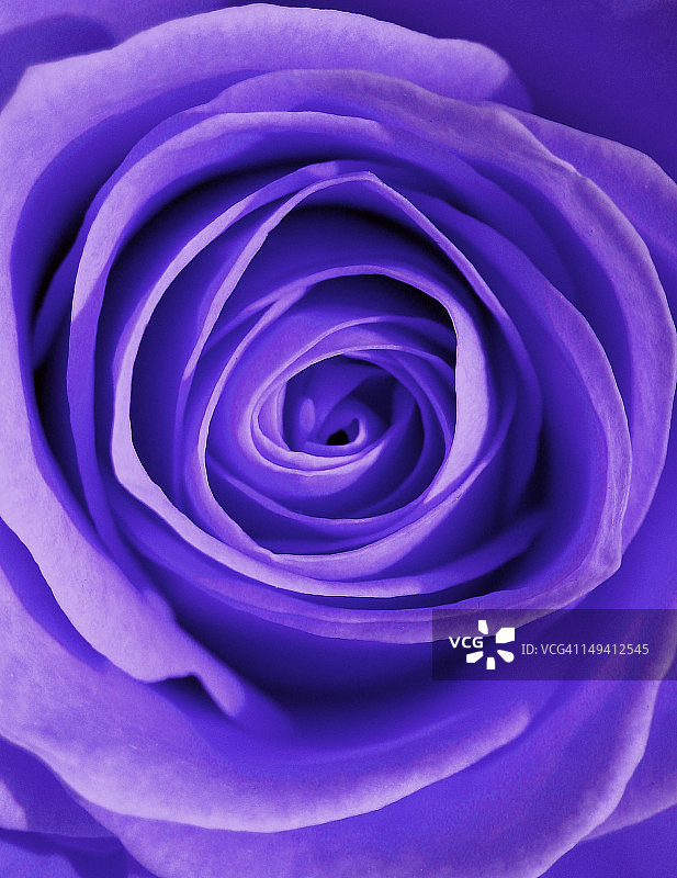 蓝色绽放图片素材