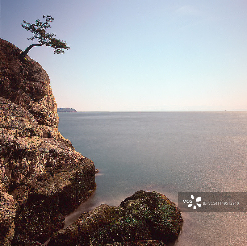 杜松角图片素材