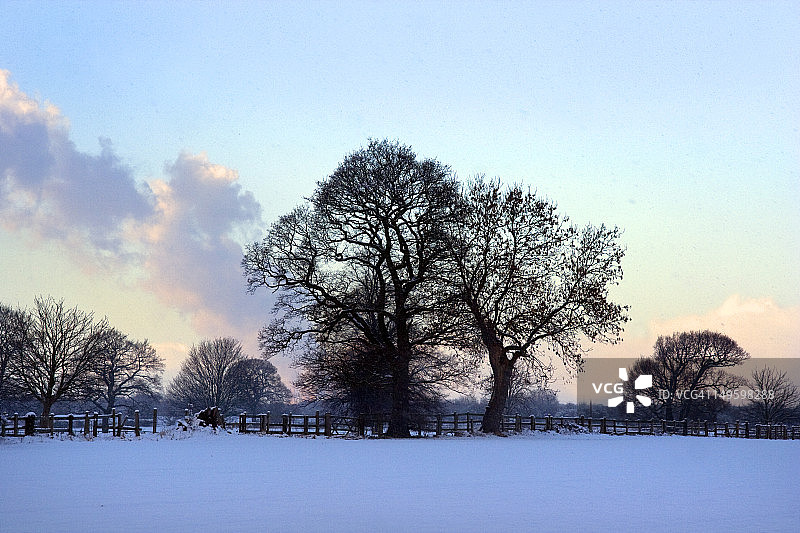 一月飞雪图片素材