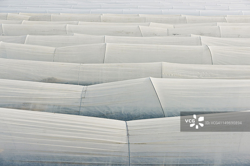 德国三月下旬的芦笋种植景象图片素材