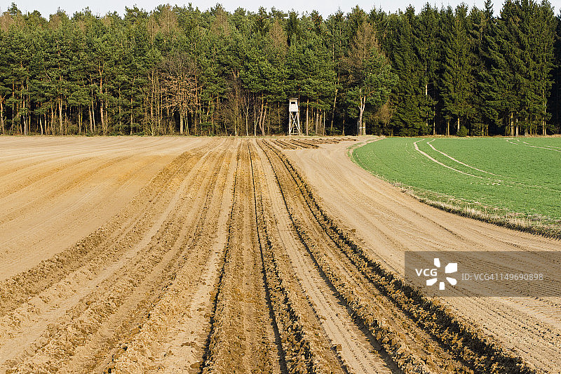 德国巴伐利亚森林高架隐蔽处图片素材