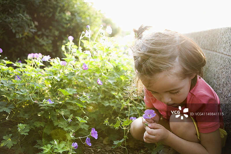 仔细观察花朵的小女孩图片素材