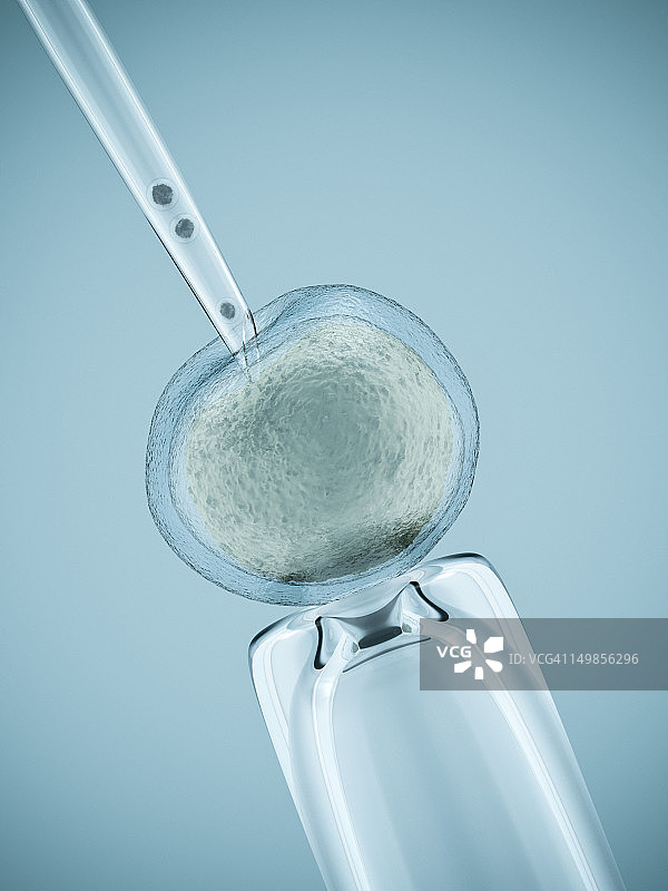 人工授精图片素材