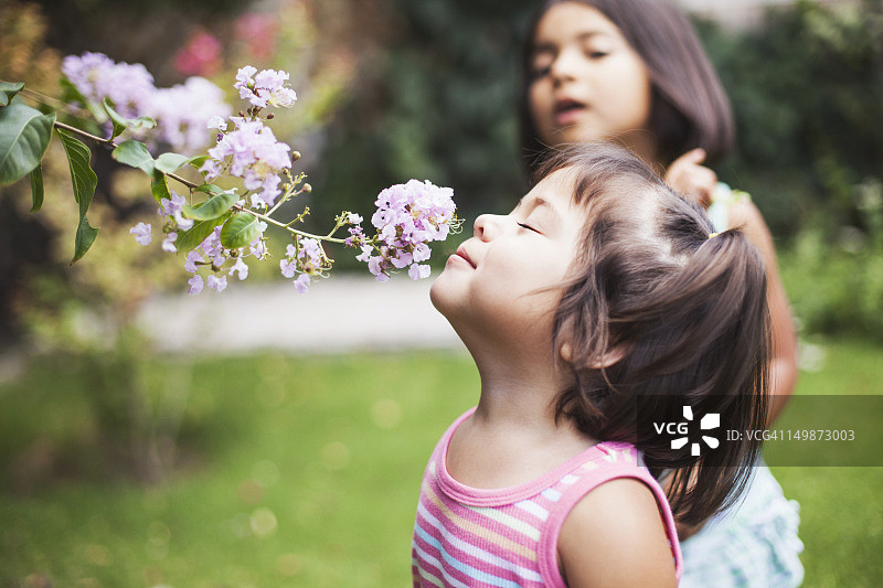 在花园里闻花的幼儿女孩图片素材