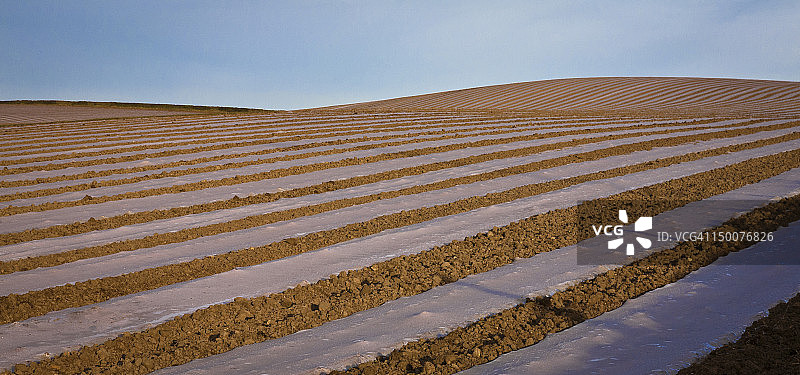 餐盘盖图片素材